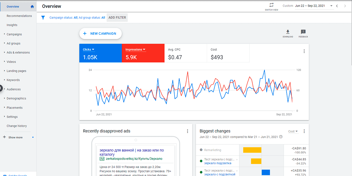 An overview of Aina’s Google ad statistics and ad campaign
